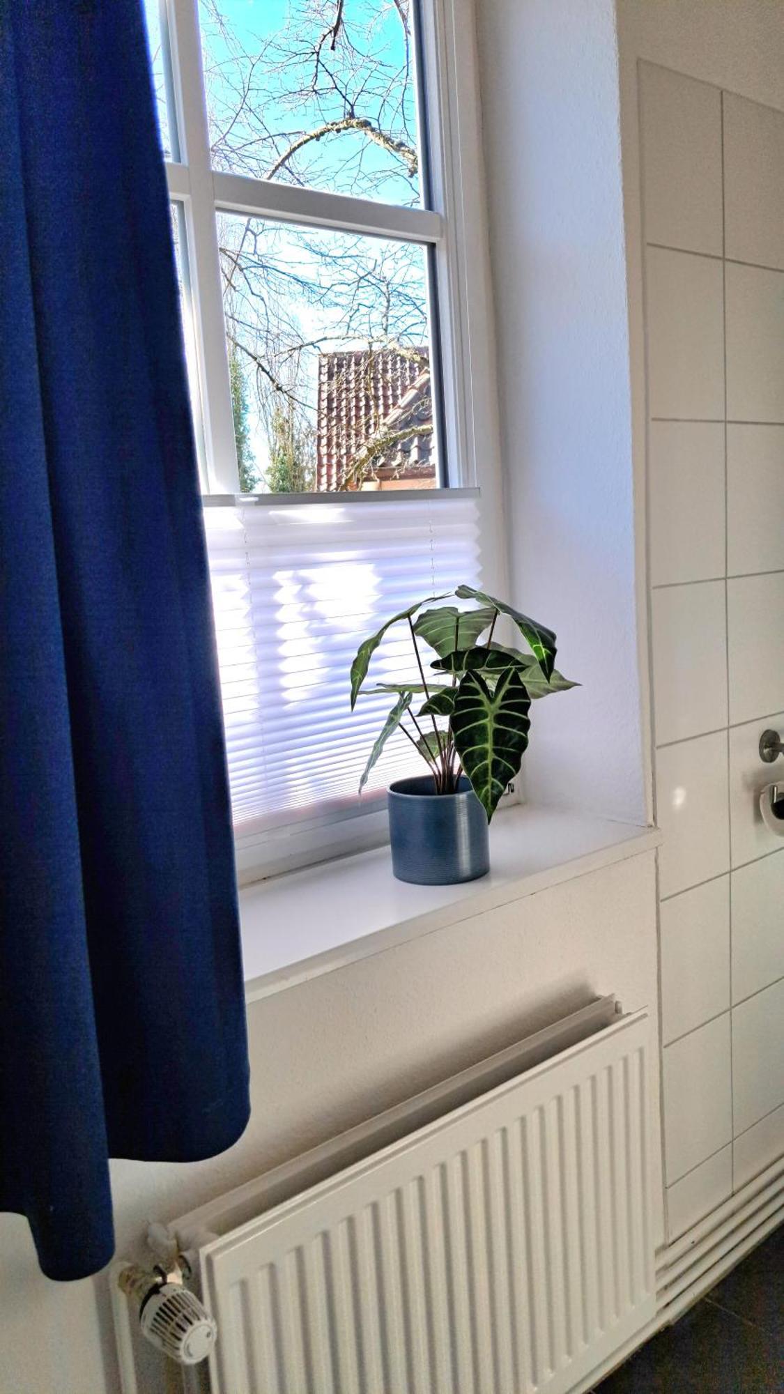 Apartment Brauner Hirsch 첼레 외부 사진